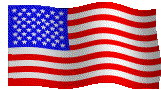 USA-10[1].gif